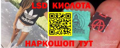 гидропоника Краснознаменск
