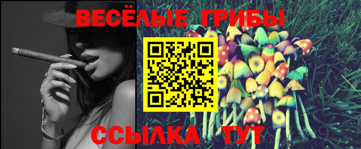 Касимов  Псилоцибиновые грибы мицелий  Вход с VPN 